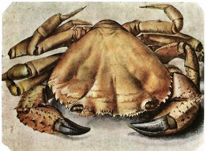 Albrecht Durer Lobster 1495 Watercolour and gouache Germany oil painting art